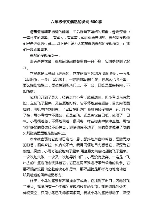 六年级作文偶然的发现600字