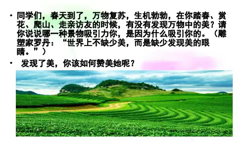 第二单元写作 《学习抒情 》课件（45张PPT）2021-2022学年部编版语文七年级下册