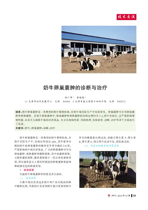 奶牛卵巢囊肿的诊断与治疗