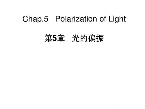 大学物理光学 第5章   光的偏振