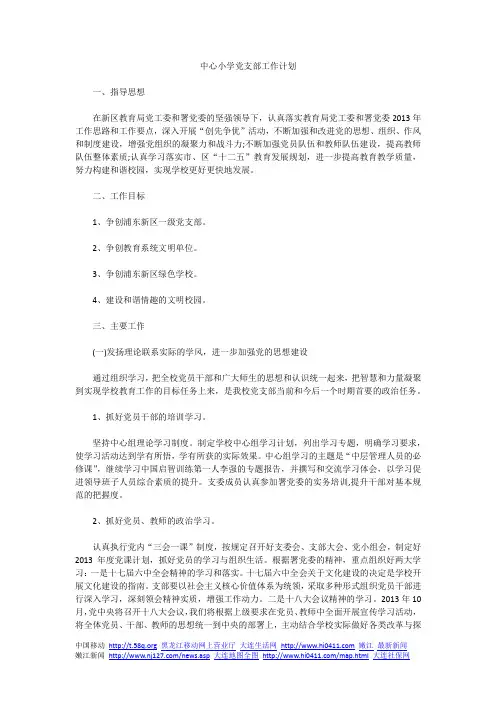 中心小学党支部工作计划