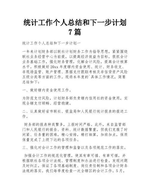 统计工作个人总结和下一步计划7篇