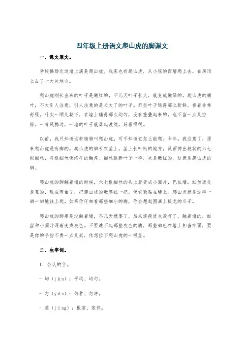 四年级上册语文爬山虎的脚课文