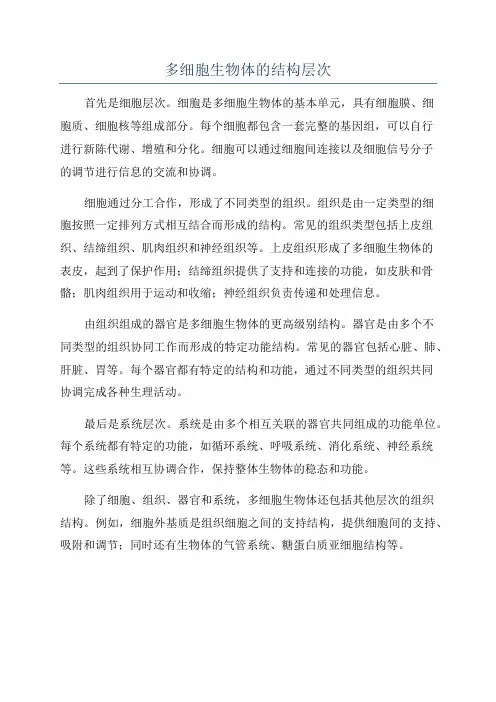 多细胞生物体的结构层次