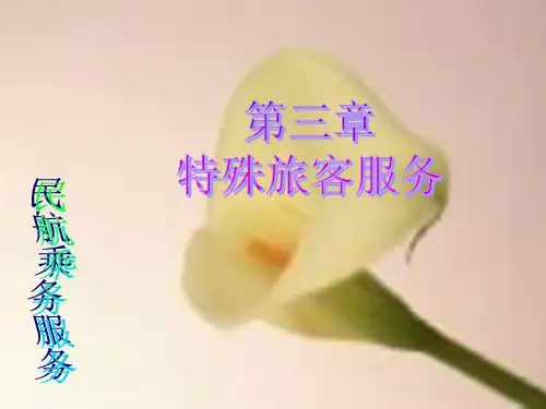 第三章特殊旅客服务