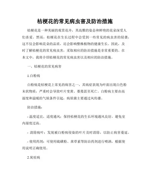 桔梗花的常见病虫害及防治措施
