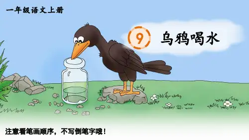 一年级语文上册9 乌鸦喝水生字笔顺课件