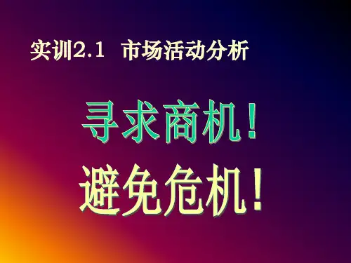 现代企业市场环境分析.pptx