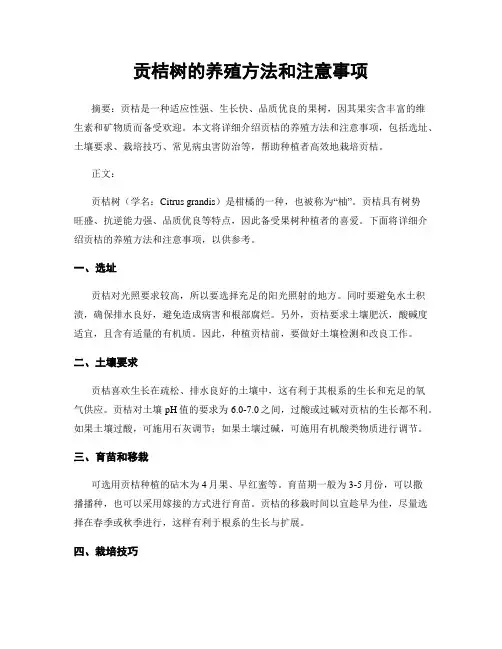 贡桔树的养殖方法和注意事项
