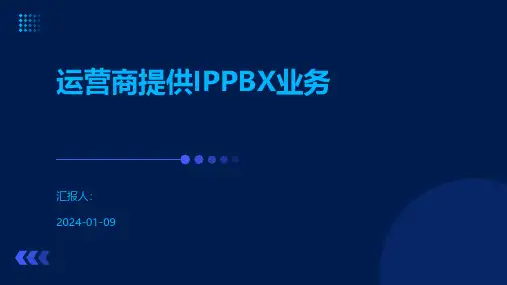运营商提供IPPBX业务