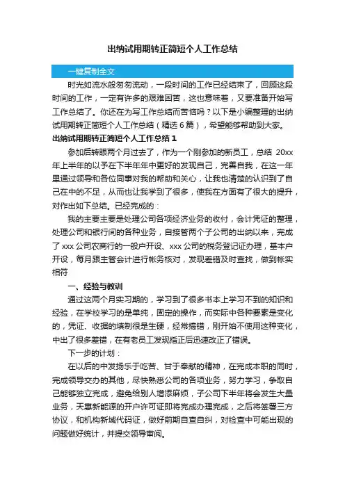 出纳试用期转正简短个人工作总结（精选6篇）