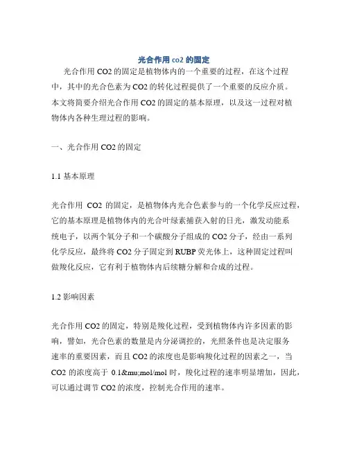 光合作用co2的固定