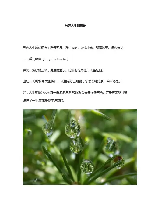 形容人生的成语