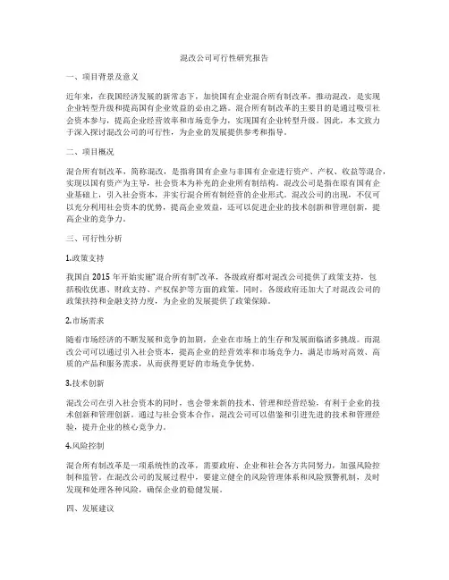 混改公司可行性研究报告