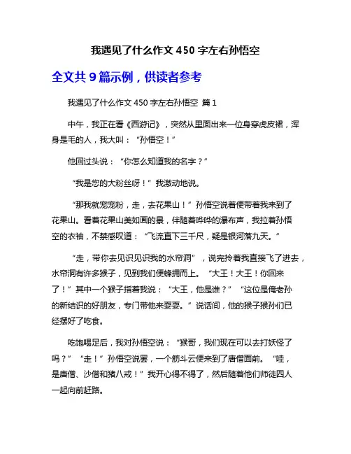 我遇见了什么作文450字左右孙悟空