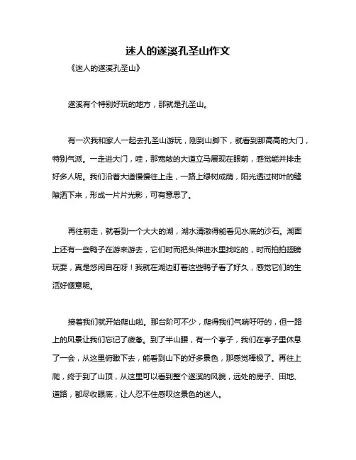 迷人的遂溪孔圣山作文