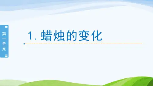 新苏教版六年级上册科学全册教学课件(2022年春整理)
