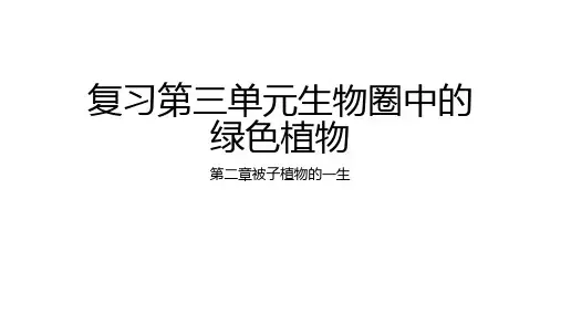 第三单元第二章被子植物的一生一轮复习课件