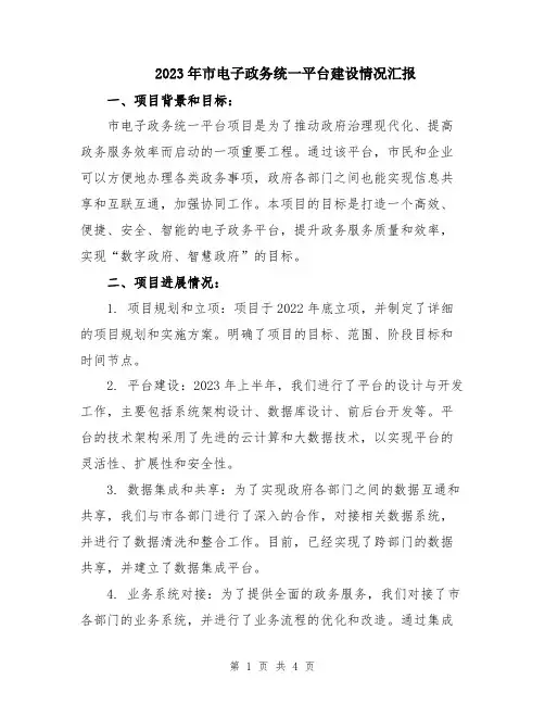 2023年市电子政务统一平台建设情况汇报