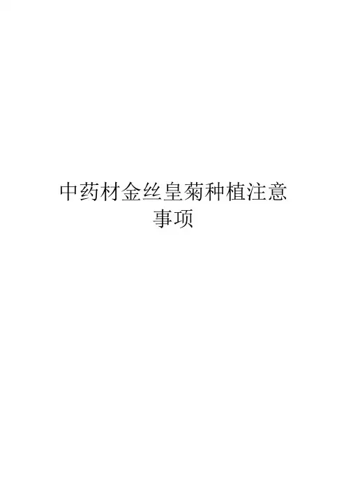 中药材金丝皇菊种植注意事项