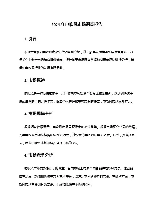 2024年电吹风市场调查报告