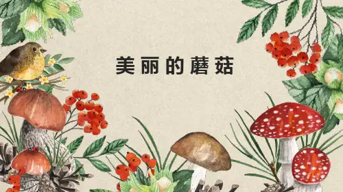 中小学生美术精品课件系列：《蘑菇》