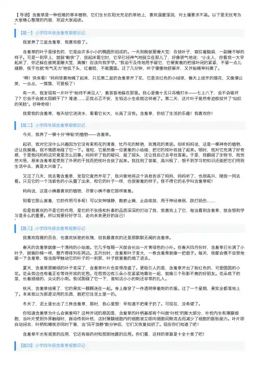 小学四年级含羞草观察日记五篇
