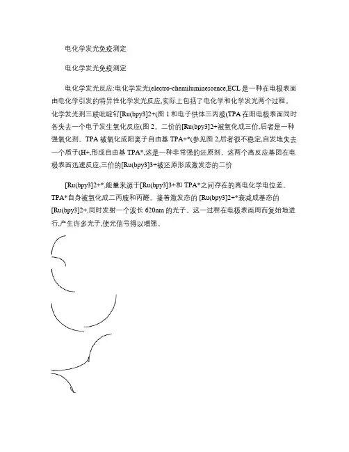 电化学发光测定原理.