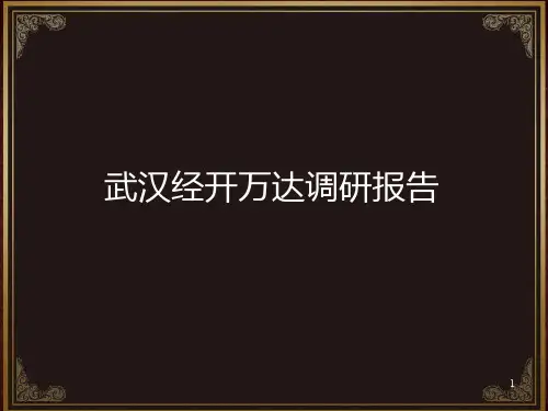 经开万达报告PPT课件