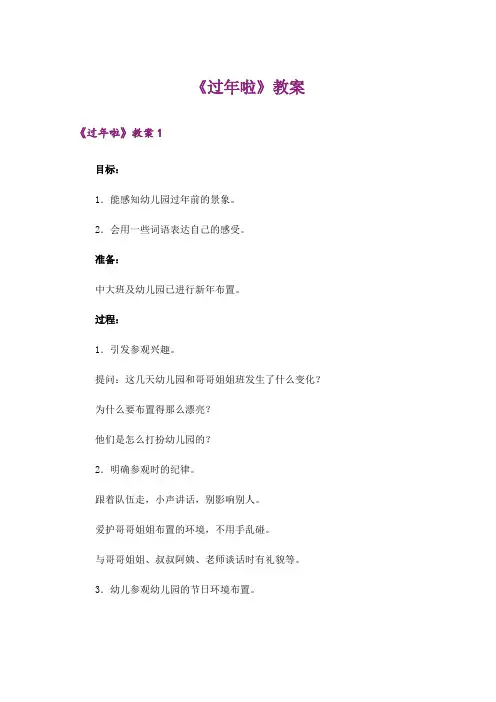 《过年啦》教案