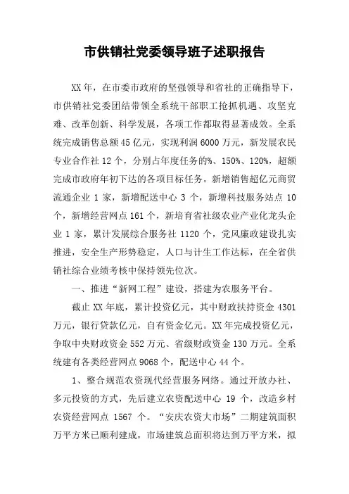 市供销社党委领导班子述职报告