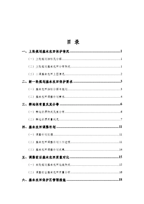 基本农田调整划定工作报告