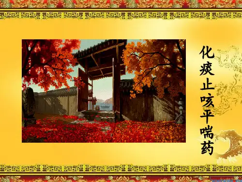 化痰止咳药膳1(1)PPT课件