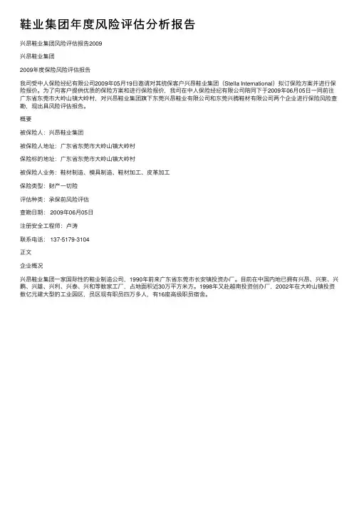 鞋业集团年度风险评估分析报告