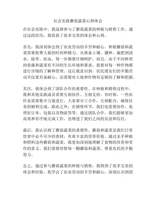 社会实践蘑菇蔬菜心得体会