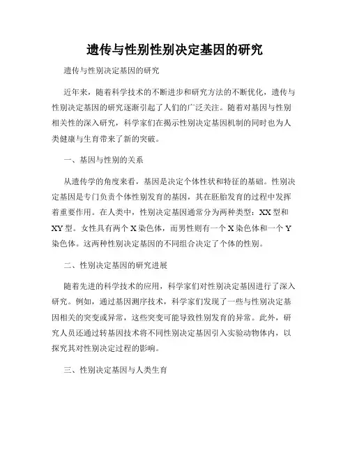 遗传与性别性别决定基因的研究