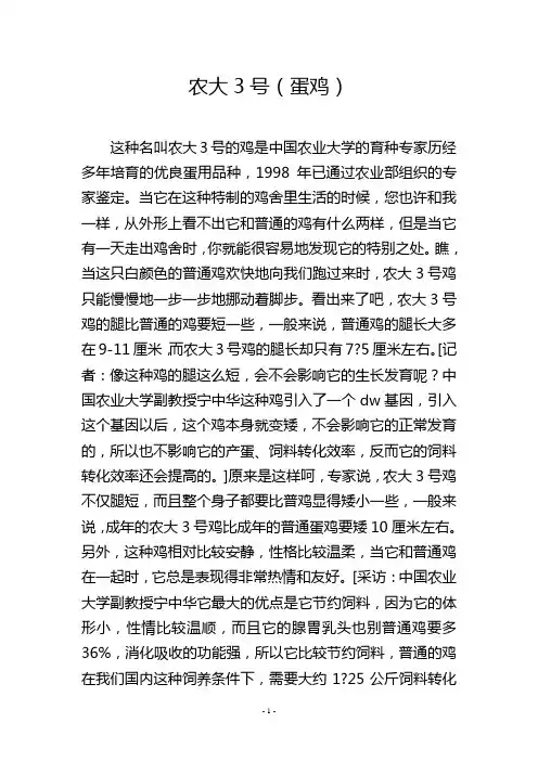 农大3号(蛋鸡)