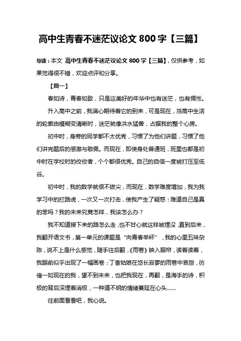 高中生青春不迷茫议论文800字【三篇】