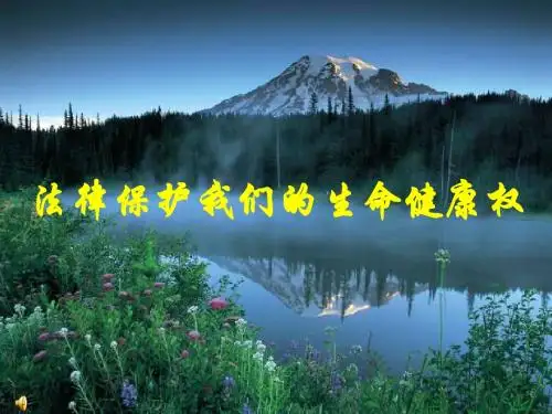 法律保护我们的生命健康权ppt