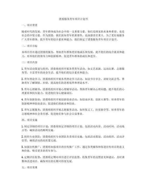 团委服务青年项目计划书