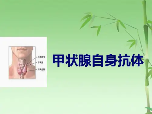 甲状腺自身抗体(共23张PPT)
