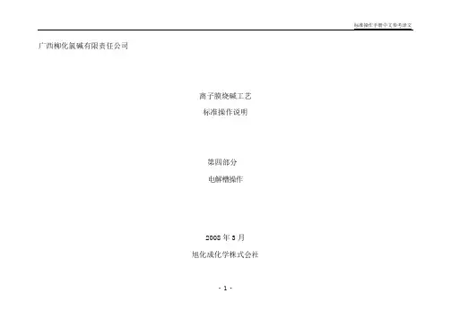 电解槽操作