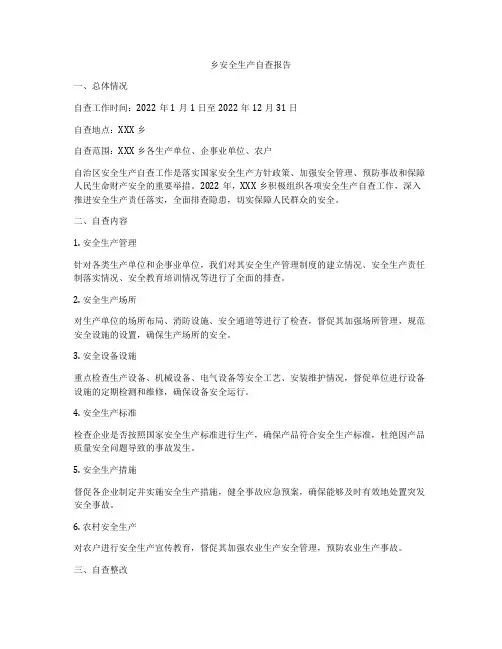 乡安全生产自查报告