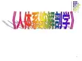 人体解剖学-全医学PPT课件