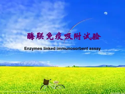 酶联免疫吸附试验