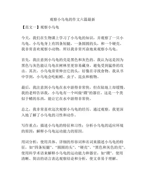 观察小乌龟的作文六篇最新