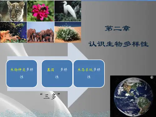人教版初中生物八年级上册-6.2-认识生物的多样性-课件-(共19张PPT)