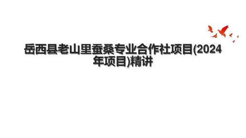 岳西县老山里蚕桑专业合作社项目(2024年项目)精讲.pptx