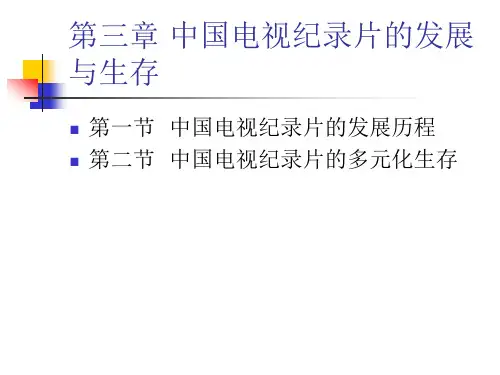 纪录片第三章