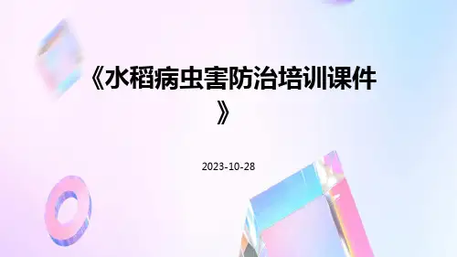 水稻病虫害防治培训课件